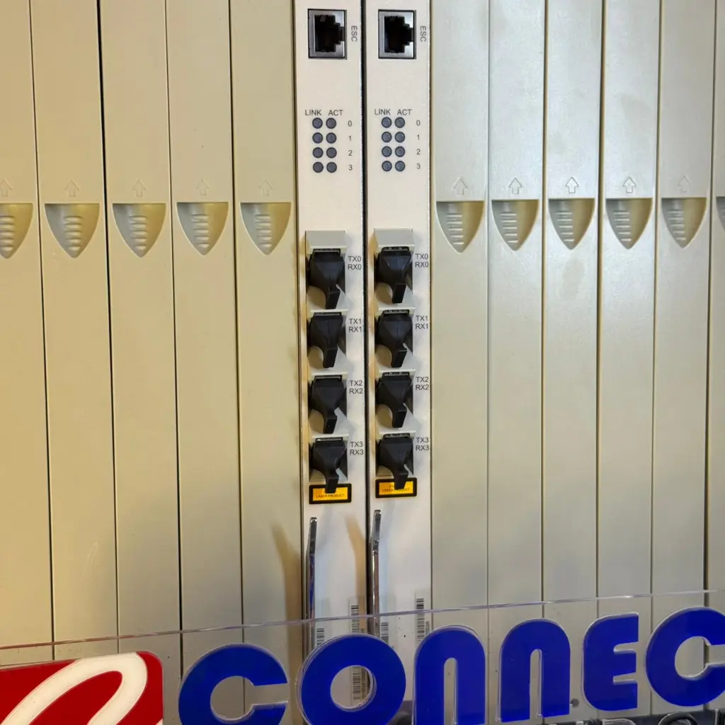 WhatsApp Image 2025-11-11 at 16.52.07.webp